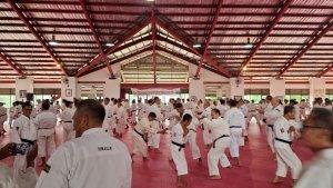 HUT-Persaudaraan-Shorinji-Kempo-Indonesia.jpg