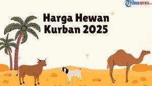 Harga-Hewan-Kurban-2025-Sapi-hingga-Kambing.jpg