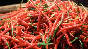 Harga-cabai-merah-keriting-OK.jpg