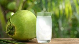 ILUSTRASI-AIR-KELAPA-MUDA.jpg