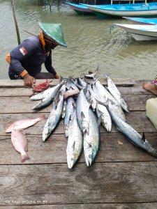 Ikan-tangkapan-nelayan-Arguni.jpg