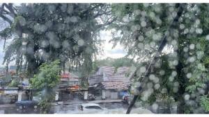 Ilustrasi-hujan-di-Bogor-Jabar-23230.jpg