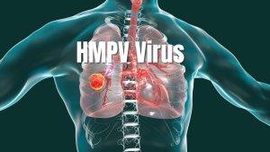 Ilustrasi-virus-HMPV-xsdgsdg.jpg