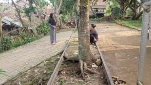 Jalur-kereta-Rangkasbitung-Pandeglang.jpg
