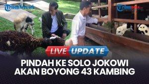 Jokowi-mengatakan-terdapat-43-kambing.jpg