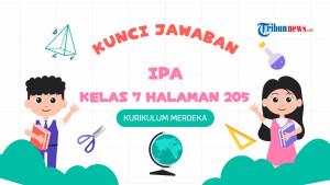 KUNCI-JAWABAN-IPA-KELAS-7-HALAMAN-205-KURIKULUM-MERDEKA-01092025.jpg