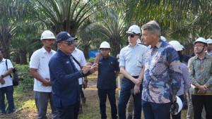 KUNJUNGAN-KE-KEBUN-SAWIT-Duta-Besar-Uni-Eropa-untuk.jpg