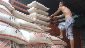 Kementan-Antisipasi-Peredaran-Beras-Oplosan_20250716_073552.jpg