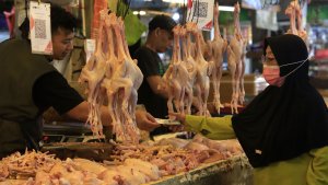Kenaikan-Harga-Daging-Ayam-Potong-di-Pasar-Kosambi-Bandung_20250916_095230.jpg