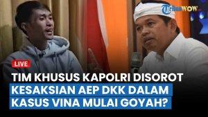 Kesaksian-Baru-Adi-Haryadi-dan-Istri-Ungkap-Fakta-Mengejutkan-Kasus-Vina-Cirebon.jpg