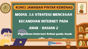 Kunci-Jawaban-Modul-36-Strategi-Mencegah-Kecanduan-Internet-pada-Anak-Bagian-2.jpg