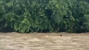 Marsita-ibu-muda-di-Polman-nekat-terobos-Sungai-Mapi-yang-meluap-demi-anaknya.jpg