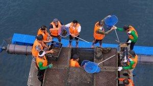 PANEN-LOBSTER-898.jpg