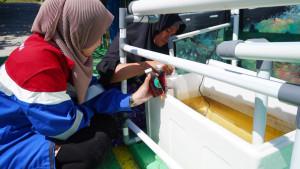 PENGOLAHAN-LIMBAH-Pertamina-Patra-Niaga-melakukan-inovasi.jpg