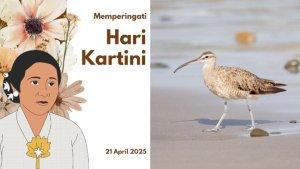POSTER-HARI-KARTINI-BURUNG-CURLEW-R93UR3.jpg