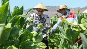 PT-HM-Sampoerna-Tbk-Perkuat-Program-Kemitraan-untuk-Dorong-Kesejahteraan-Petani.jpg
