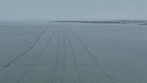 Pagar-laut-3016-Kilometer-di-perairan-Tangerang-Banten.jpg