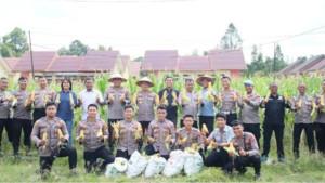 Panen-Jagung-Polres-Barito-Selatan.jpg