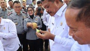 Panen-raya-buah-melon-di-Lapas.jpg