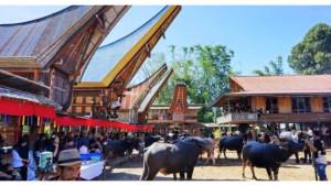 Pasar-Kerbau-adat-Toraja-Rambu-Solo.jpg