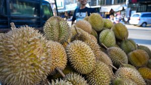 Pedagang-Durian_20250204_091926.jpg