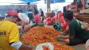 Pedagang-cabai-di-Pasar-Induk-Pare.jpg