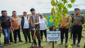 Penanaman-pohon-di-NTT-OK.jpg