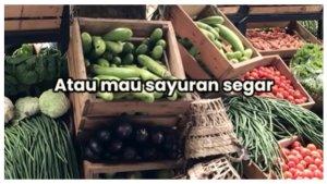 Pernikahan-Viral-di-Ungaran-Semarang.jpg