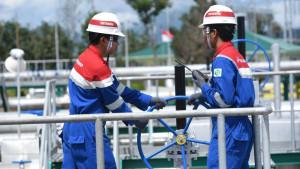 Pertamina-NRE-Dukung-Ketahanan-Energi-dengan-EBT-dan-Pengelolaan-Transisi-Energi-yang-Efisien.jpg