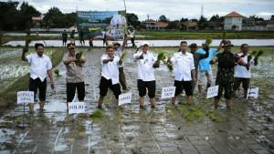 Petani-Serang-sambut-harga-pupuk-subsidi.jpg
