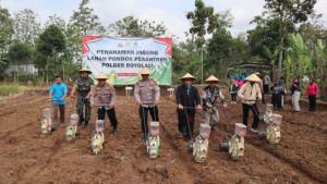 Polres-Boyolali-lakukan-penanam-jagung-di-lahan-Ponpes-Yanbuul-Hikmah-dukung-ketahanan-pangan-Polri.jpg