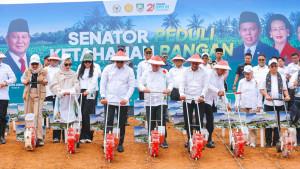 Program-Senator-Peduli-Ketahanan-Pangan-di-Bengkulu.jpg