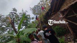 RUmah-Mbah-Sutris-tertimpa-pohon-jati.jpg