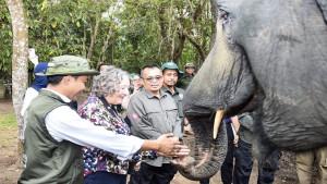 Raja-Juli-Antoni-di-Taman-Nasional-Way-Kambas.jpg