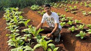 Sayur-Kendal.jpg