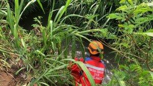 Sejumlah-petugas-animal-Rescue-saat-wew.jpg
