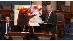 Senator-AS-Sebut-Udang-Indonesia.jpg
