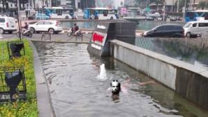 Seorang-wanita-berenang-di-kolam-Patung-Kuda-321.jpg