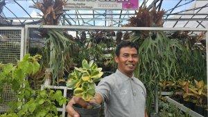 Sukses-Jadi-Mata-Pencaharian-Warga-Sekitar-Ini-Kisah-Klaster-Usaha-Tanaman-Hias-Binaan-BRI.jpg