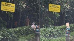 ULAH-PENGUNJUNG-DI-TAMAN-SAFARI-BOGOR-INDONESIA.jpg