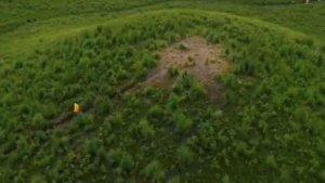 Viral-video-temuan-ladang-ganja-di-Taman-Nasional-Bromo-Tengger-Semeru.jpg