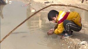 anak-palestina-di-gaza-bernama-abdusselam-keskin-minum-air-hujan.jpg