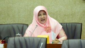 anggota-dpr-ri-nevi-zuairina-2005.jpg