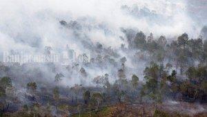 bakar-lahan133.jpg