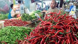 cabai-merah_20160215_140640.jpg