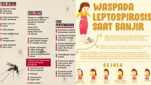 demam-berdarah-hingga-leptospirosis.jpg