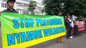 demo-tolak-nyamuk-wolbachia-di-bandung_20231218_184754.jpg
