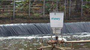 efishery-pendanaan-seri-b.jpg