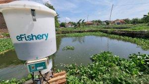 efisheryfeeder-cirebon.jpg