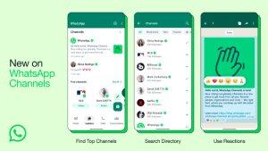 fitur-terbaru-whatsapp-3252512.jpg